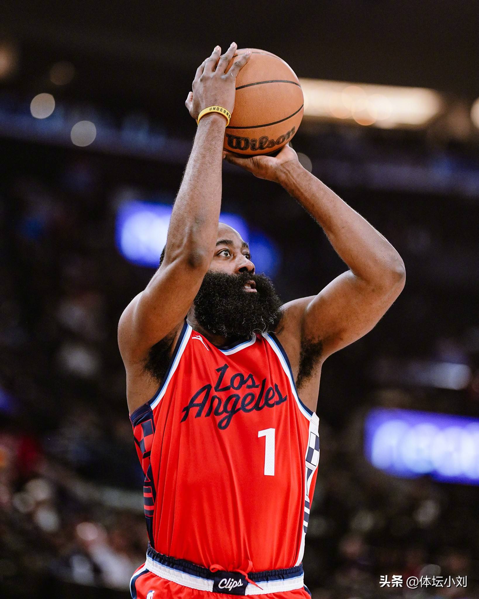 投资长期体 投资长期体