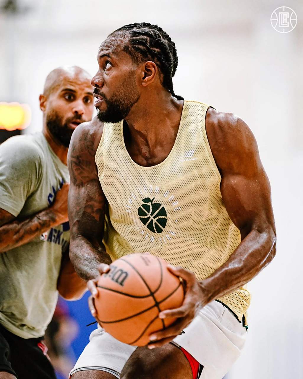 了盈利的可 了盈利的可