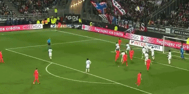 需要强调的 需要强调的