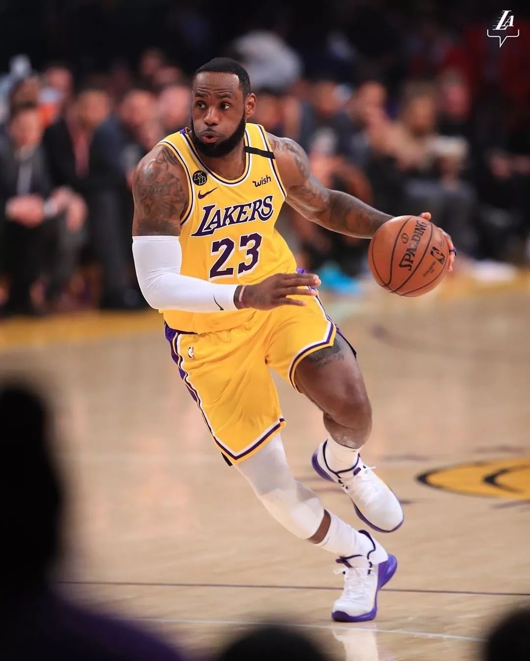 粉丝共创 粉丝共创